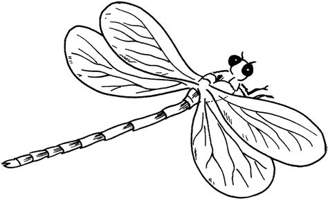 Free Printable Dragonfly Coloring Pages For Kids - Animal Place