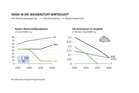 Nur Gr Ner Wasserstoff Ist Klimafreundlich Und Kosteng Nstig