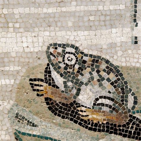 17 Best images about Pompeii Mosaics on Pinterest | Mosaic floors ...