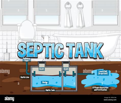 Diagram Of A Septic Tank System Septic Conventional Ifas Flo