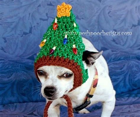 Youll Love This Collection Of Free Crochet Dog Hat Patterns Theyd