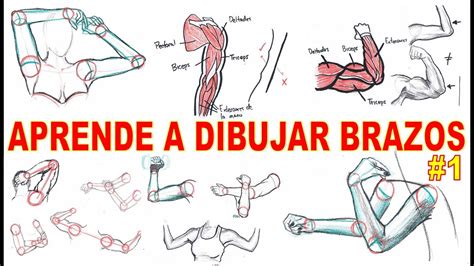 Como DIBUJAR BRAZOS técnica fácil GUIA COMPLETA PARA DIBUJAR EL