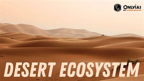 The Desert Ecosystem: Types, Adaptation, Biodiversity & Resilience ...