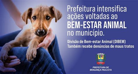 Prefeitura intensifica ações voltadas ao bem estar animal no município