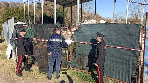 Un arresto 792 denunce e 125mila controlli il bilancio dell attività