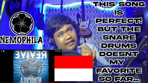 Indonesian Metalheads Reacted To Nemophila Game Over First Time