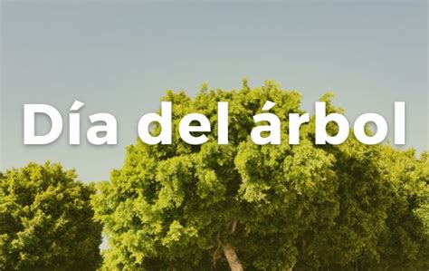 Árboles Dadores De Vida Y Alimentos Secretaría De Agricultura Y