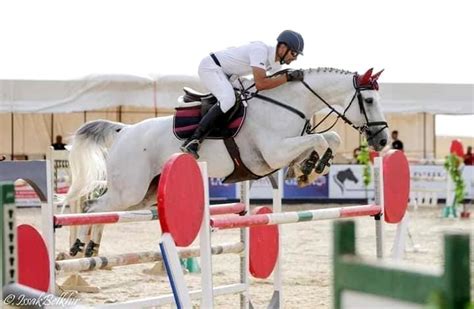 Le cavalier Mohamed Mesrati lauréat du concours de saut dobstacles