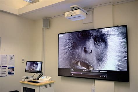 Building A Projector Ceiling Mount | Shelly Lighting