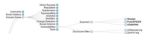 Flu Project Zerolynx Cybersecurity Blog Osint Framework Lidera Tu