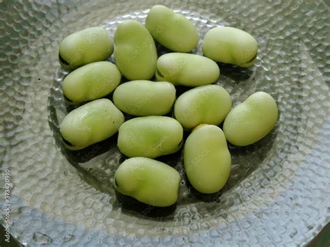 Fotografia Do Stock Wild Organic Lima Beans Harvesting During Summer