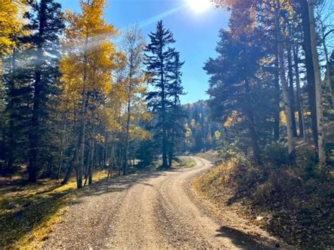 10 Best Trails And Hikes In Taos Alltrails