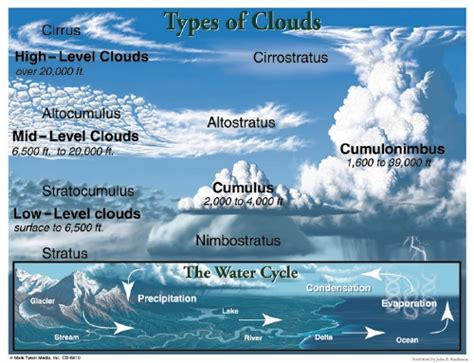 The Store - Types of Clouds Chart - Stationery