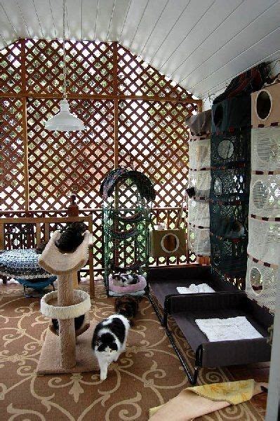 18 Amazing Cat Room Designs For Your Inspiration Cat Room Cat Patio