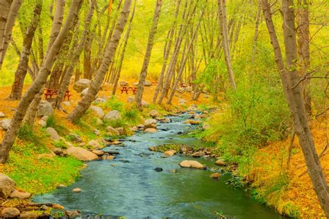 San Bernardino National Forest Camping Guide - Beyond The Tent