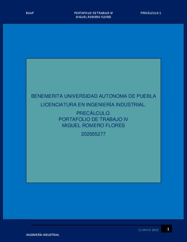 Iv Portafolio De Trabajo Pdf