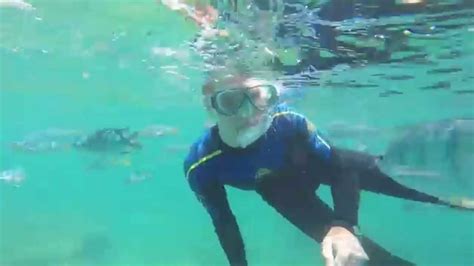 Whitsundays Snorkeling - Australia - YouTube