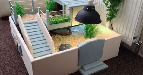 25 Amazing Hamster Habitat Ideas for a Happy Hamster