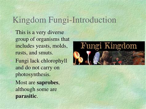 Ppt Kingdom Fungi Introduction Powerpoint Presentation Free Download Id5365575