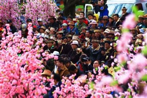 Nyingchi Peach Blossom Festival 2019