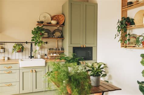 Plantas Perfectas Para La Cocina Hogartips