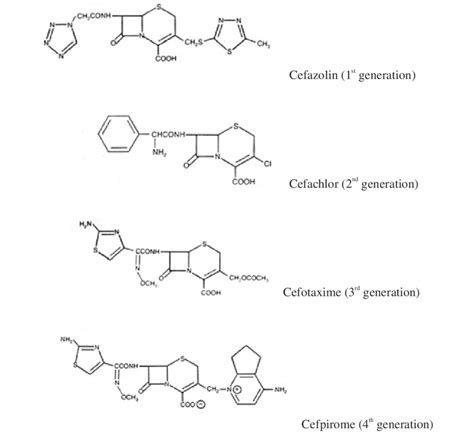 3 Cephalosporin Structures Download Scientific Diagram