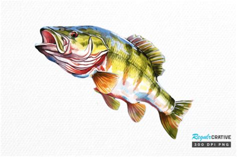 18 Bass Fishing Watercolor Art Clipart Png Designs Graphics