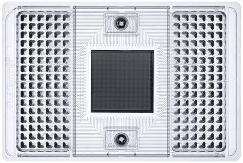 96 96 Dynamic Array IFC For Gene Expression