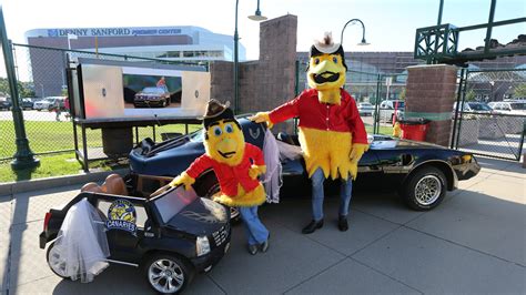 Peep The Canaries Young Mascot Nominated For 2 Hall Of Fame Awards