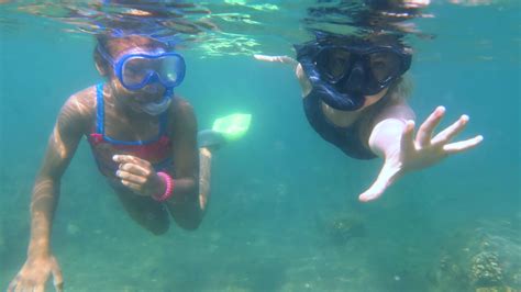 Snorkeling In The Dolphin Coast Rocky Pools Snorkeling South Africa