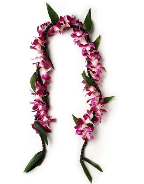 Pool Party Orchid Lei Graduation Leis Hawaiian Lei