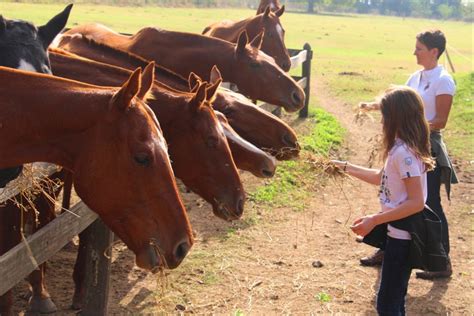 Passeio A Cavalo Pela Est Ncia Villa Mar A Em Buenos Aires