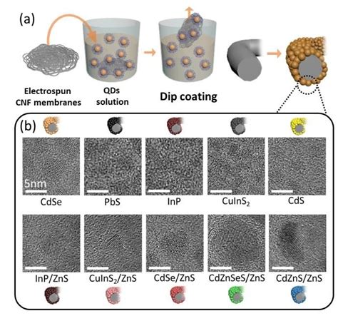 A Schematic Illustration Showing The Easy Dip Coating Process Of The