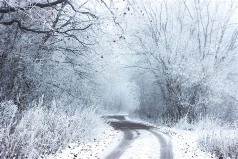 World's First Cold-Weather Body Farm - Florida Forensic Science