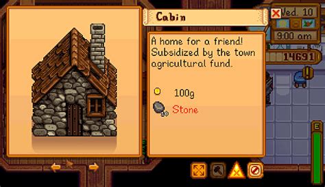 Cabin Stardew Valley