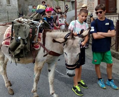 Una Passeggiata A Dorso Dasino