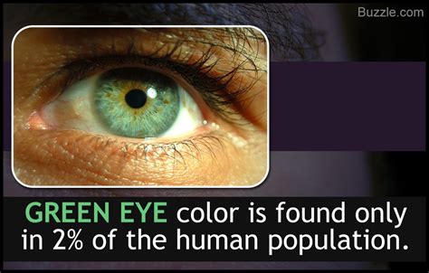 Eyecolorpredict Eye Color Chart Genetics Eye Color Chart Baby Eye