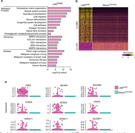 Figure 1 From Single Cell Transcriptomic Analysis Identifies A Unique Pulmonary