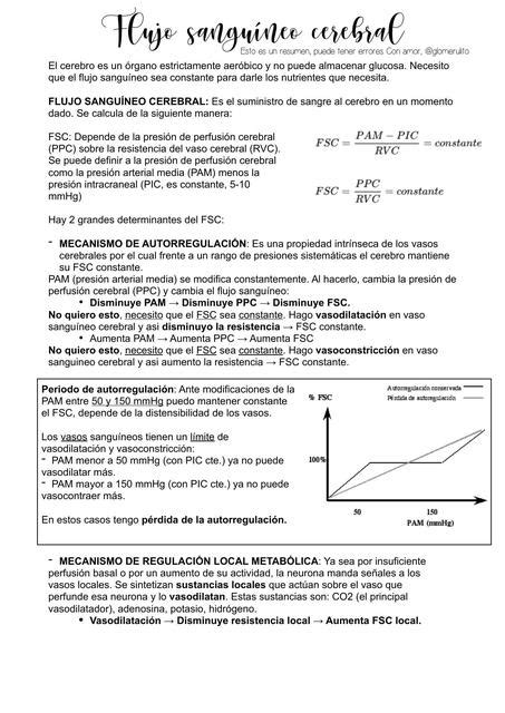 Flujo Sangu Neo Cerebral Y Presi N Intracraneal Udocz Creators Udocz