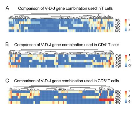 Single Cell Tcr Sequencing Reveals The Dynamics Of T Cell Repertoire Profiling During