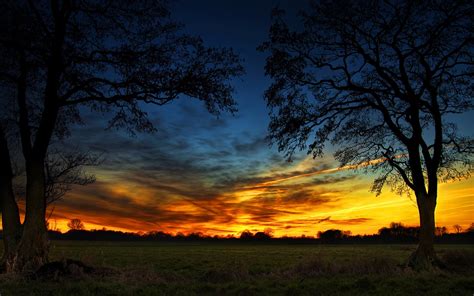 Wallpaper Sunlight Trees Landscape Sunset Nature Field Clouds