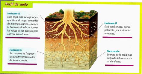 El Suelo Recurso Vital Composici N Del Suelo