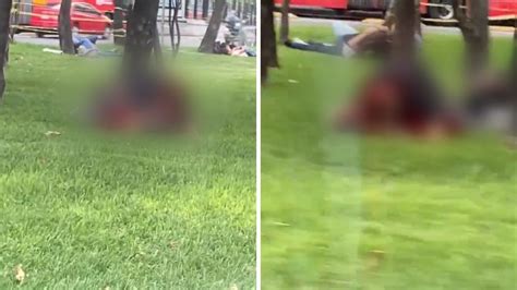 Video Pareja Protagoniza Escena íntima En Pleno Parque