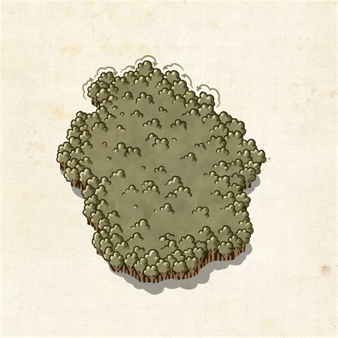 forest styles tutorials