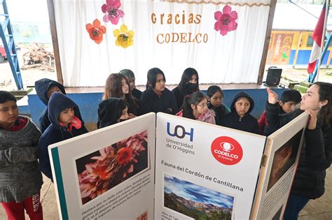 Uoh Y Codelco Inauguran Mural Con Llamado A Concientizar Sobre La Fauna