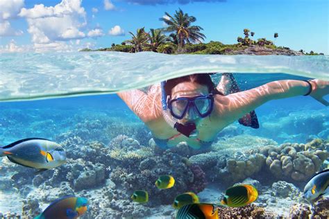 Punta Cana Catamaran Cruise And Snorkeling Getyourguide