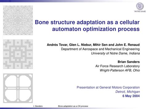 Ppt Bone Structure Adaptation As A Cellular Automaton Optimization