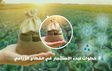 3 خطوات لبدء الاستثمار في القطاع الزراعي مدي للاستشارات