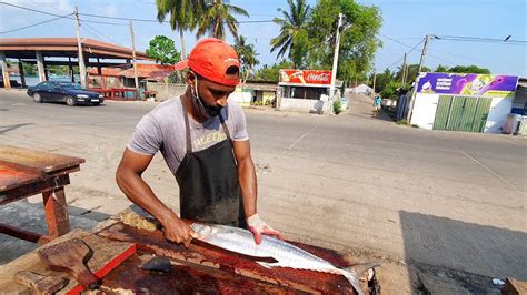 Huge Spanish Mackerel Fish With Eggs Slicing In Sri Lanka Seer