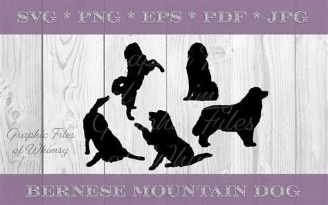 Bernese Mountain Dog SVG Silhouette PNG JPG Pdf Eps Digital Graphic ...